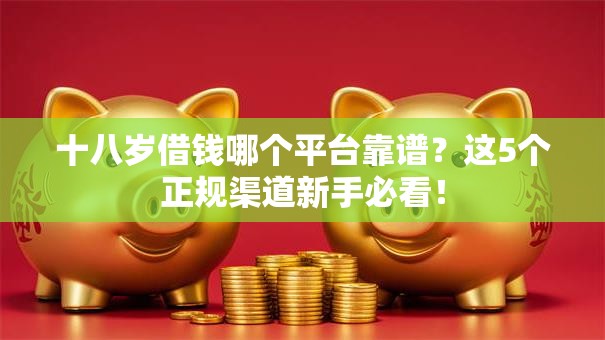 十八岁借钱哪个平台靠谱？这5个正规渠道新手必看！