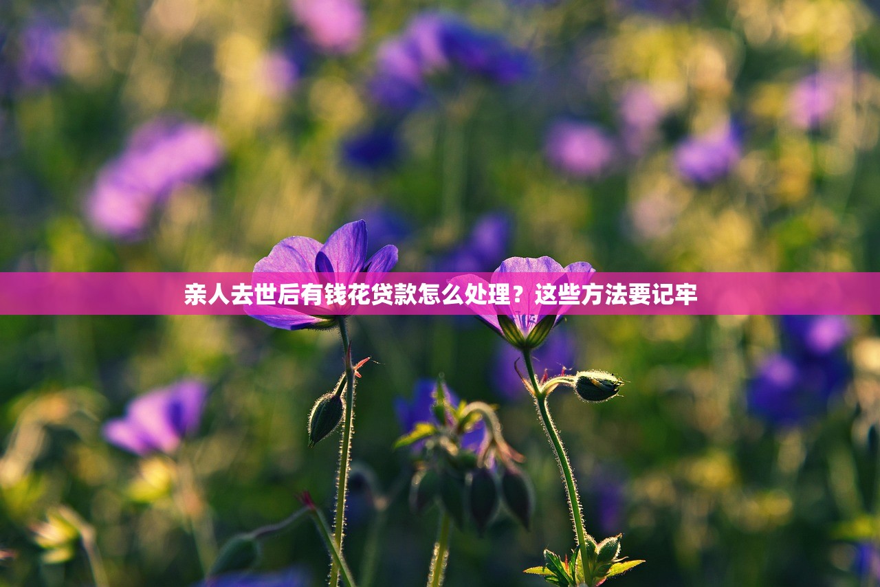 亲人去世后有钱花贷款怎么处理?这些方法要记牢 亲人去世后有钱花贷款怎么处理?这些方法要记牢