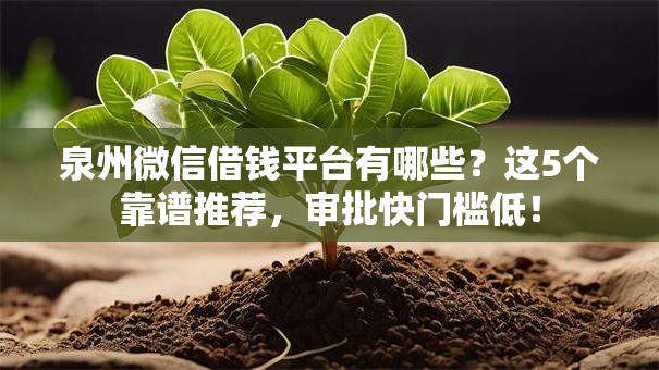 泉州微信借钱平台有哪些？这5个靠谱推荐，审批快门槛低！