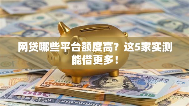 网贷哪些平台额度高？这5家实测能借更多！