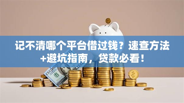 记不清哪个平台借过钱？速查方法+避坑指南，贷款必看！