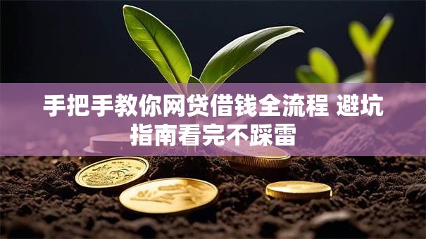 手把手教你网贷借钱全流程 避坑指南看完不踩雷