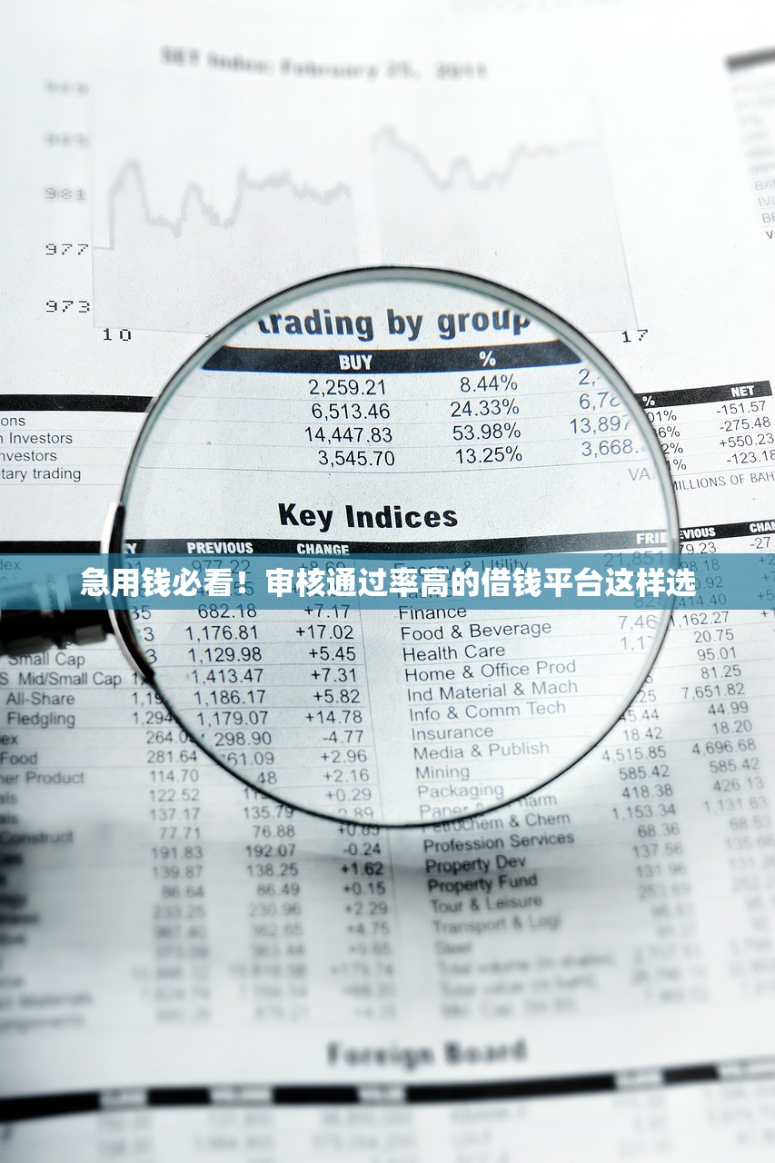 急用钱必看！审核通过率高的借钱平台这样选