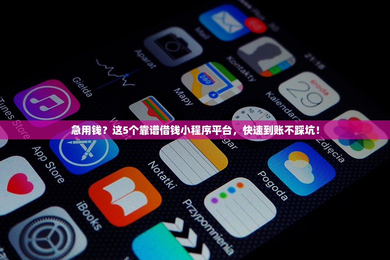 急用钱？这5个靠谱借钱小程序平台，快速到账不踩坑！