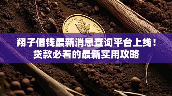 翔子借钱最新消息查询平台上线！贷款必看的最新实用攻略