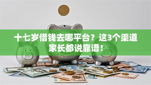 十七岁借钱去哪平台？这3个渠道家长都说靠谱！