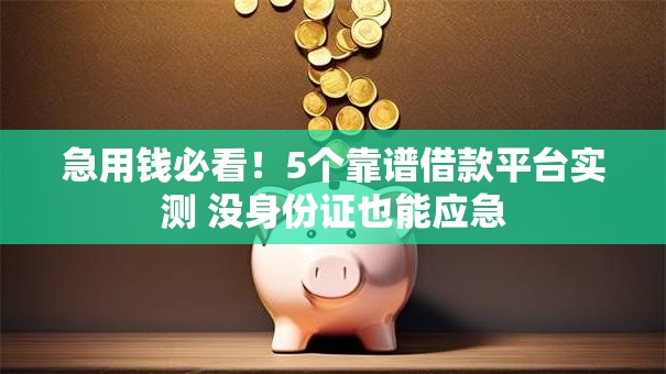急用钱必看!5个靠谱借款平台实测 没身份证也能应急 急用钱必看!5个靠谱借款平台实测 没身份证也能应急