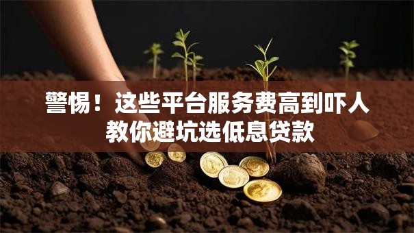警惕！这些平台服务费高到吓人 教你避坑选低息贷款