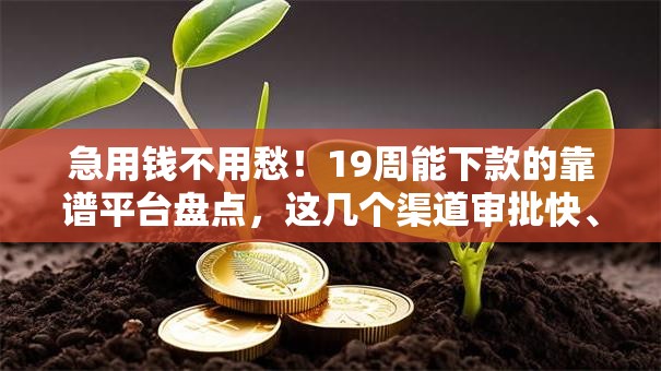 急用钱不用愁！19周能下款的靠谱平台盘点，这几个渠道审批快、额度高