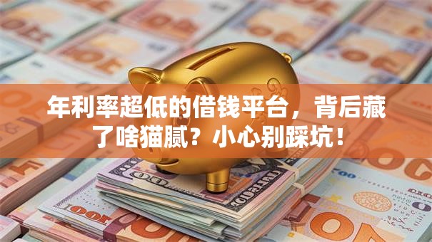 年利率超低的借钱平台,背后藏了啥猫腻?小心别踩坑! 年利率超低的借钱平台,背后藏了啥猫腻?小心别踩坑!