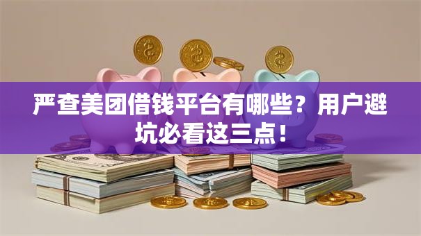 严查美团借钱平台有哪些？用户避坑必看这三点！
