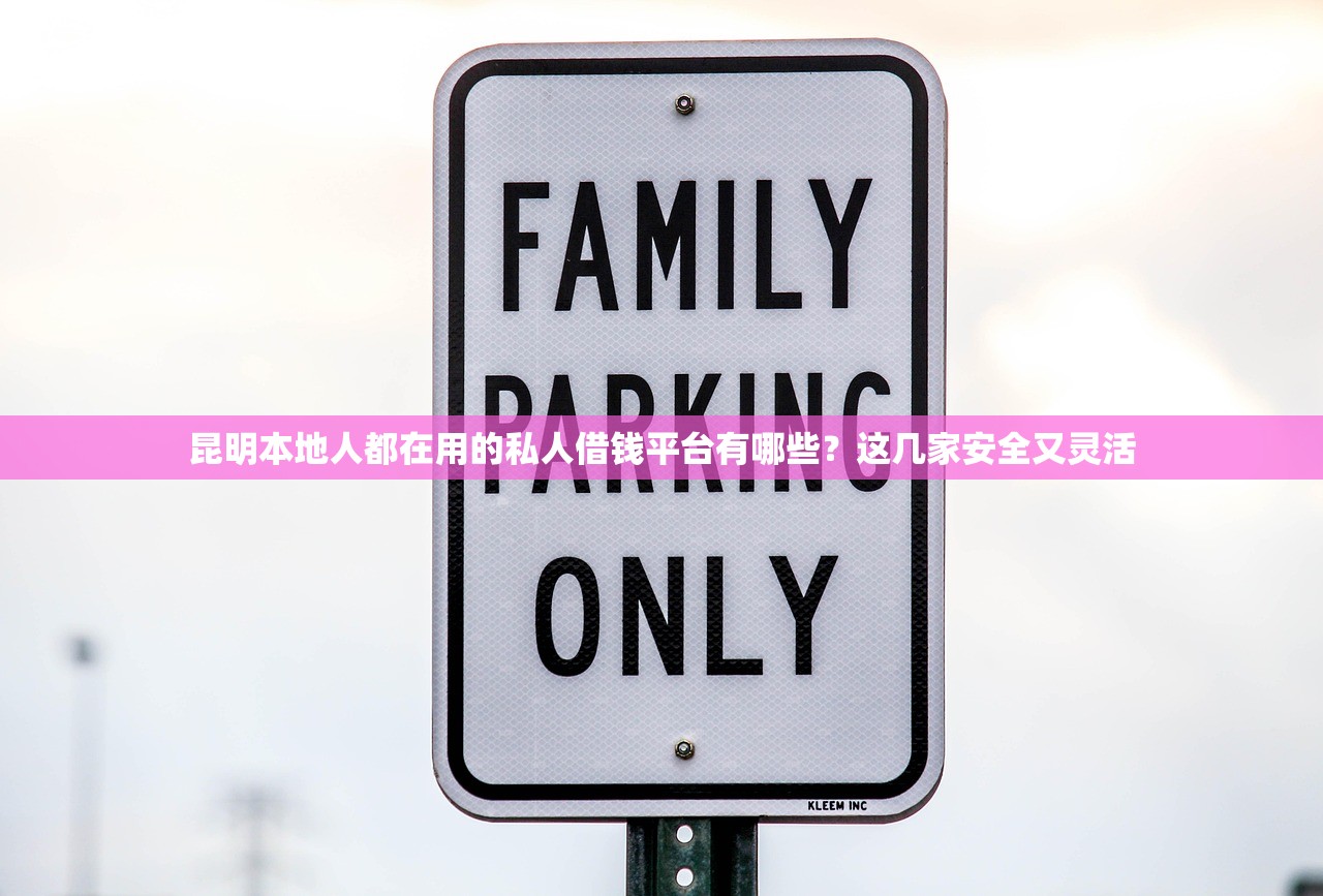 昆明本地人都在用的私人借钱平台有哪些？这几家安全又灵活