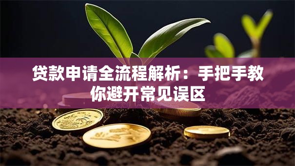 贷款申请全流程解析：手把手教你避开常见误区