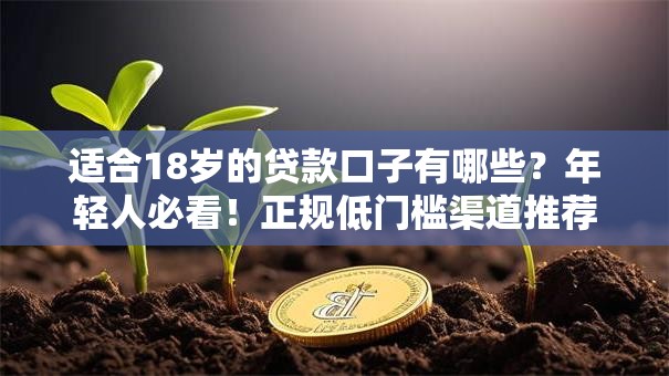 适合18岁的贷款口子有哪些？年轻人必看！正规低门槛渠道推荐