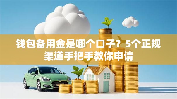 钱包备用金是哪个口子?5个正规渠道手把手教你申请 钱包备用金是哪个口子?5个正规渠道手把手教你申请