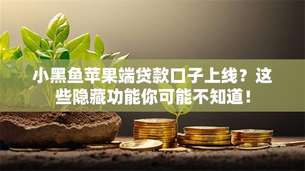 小黑鱼苹果端贷款口子上线？这些隐藏功能你可能不知道！