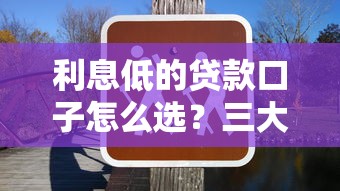 利息低的贷款口子怎么选？三大技巧帮你省下冤枉钱