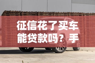 征信花了买车能贷款吗?手把手教你避坑攻略 征信花了买车能贷款吗?手把手教你避坑攻略