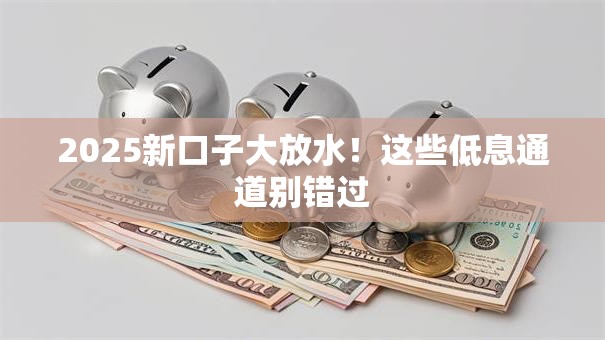 2025新口子大放水！这些低息通道别错过