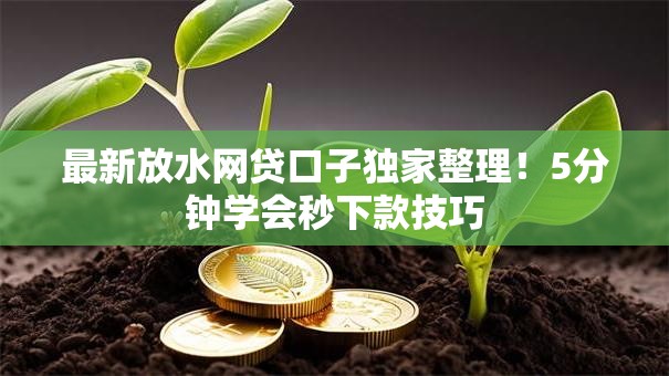 最新放水网贷口子独家整理！5分钟学会秒下款技巧