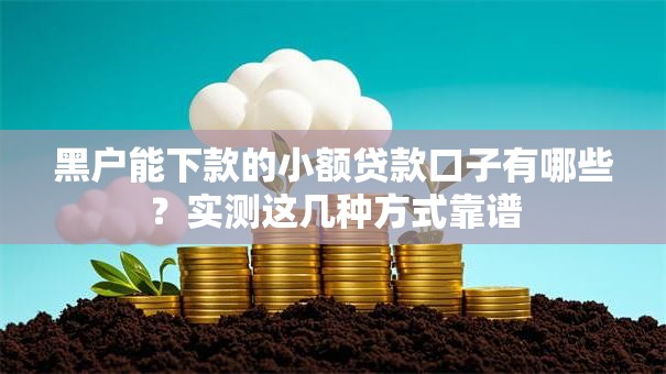 黑户能下款的小额贷款口子有哪些？实测这几种方式靠谱