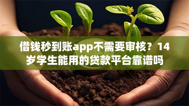 借钱秒到账app不需要审核？14岁学生能用的贷款平台靠谱吗
