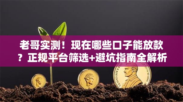 老哥实测！现在哪些口子能放款？正规平台筛选+避坑指南全解析