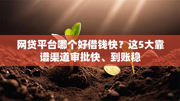 网贷平台哪个好借钱快?这5大靠谱渠道审批快、到账稳 网贷平台哪个好借钱快?这5大靠谱渠道审批快、到账稳