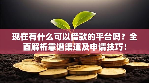 现在有什么可以借款的平台吗？全面解析靠谱渠道及申请技巧！