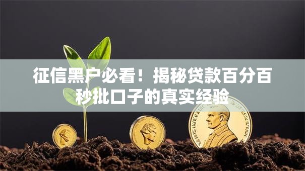 征信黑户必看！揭秘贷款百分百秒批口子的真实经验