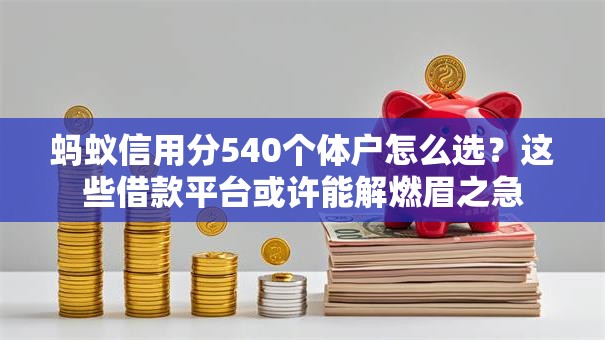 蚂蚁信用分540个体户怎么选?这些借款平台或许能解燃眉之急 蚂蚁信用分540个体户怎么选?这些借款平台或许能解燃眉之急