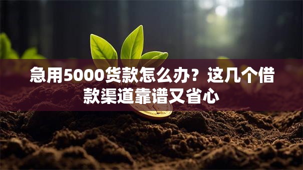 急用5000货款怎么办？这几个借款渠道靠谱又省心