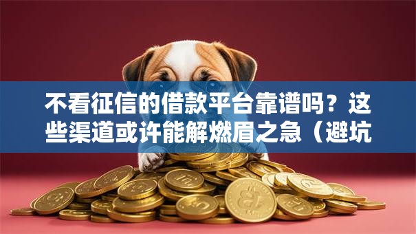 不看征信的借款平台靠谱吗？这些渠道或许能解燃眉之急（避坑指南）