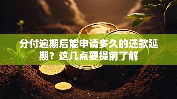 分付逾期后能申请多久的还款延期？这几点要提前了解