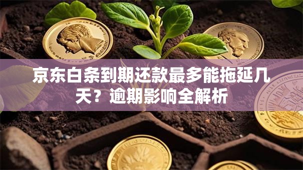 京东白条到期还款最多能拖延几天？逾期影响全解析