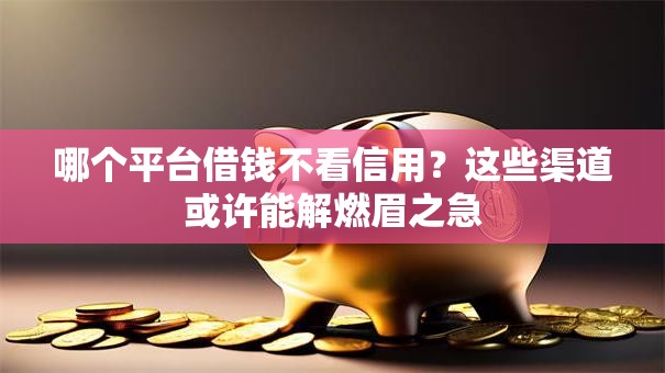 哪个平台借钱不看信用?这些渠道或许能解燃眉之急 哪个平台借钱不看信用?这些渠道或许能解燃眉之急