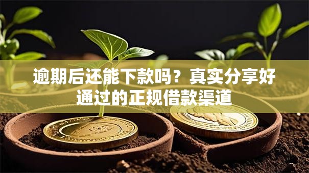 逾期后还能下款吗?真实分享好通过的正规借款渠道 逾期后还能下款吗?真实分享好通过的正规借款渠道