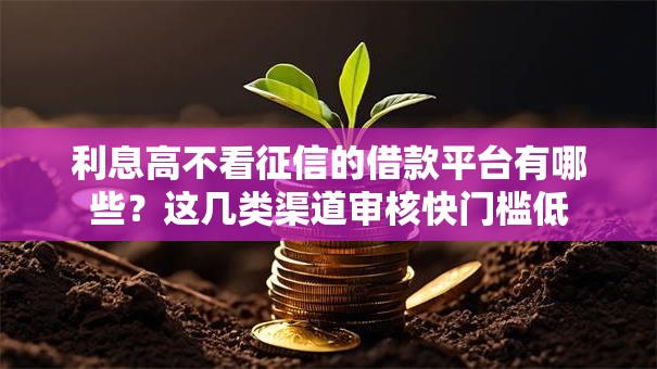 利息高不看征信的借款平台有哪些？这几类渠道审核快门槛低