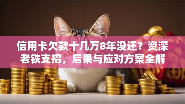 信用卡欠款十几万8年没还？资深老铁支招，后果与应对方案全解析