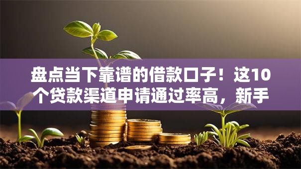 盘点当下靠谱的借款口子!这10个贷款渠道申请通过率高,新手必看避坑指南 盘点当下靠谱的借款口子!这10个贷款渠道申请通过率高,新手必看避坑指南