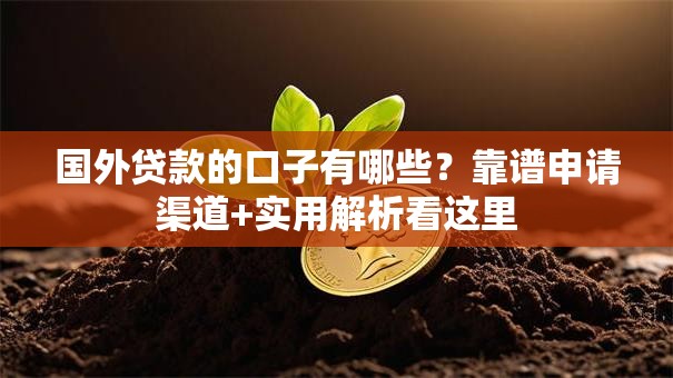 国外贷款的口子有哪些？靠谱申请渠道+实用解析看这里
