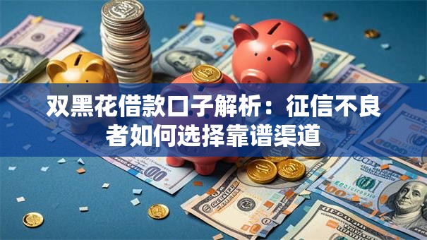 双黑花借款口子解析：征信不良者如何选择靠谱渠道