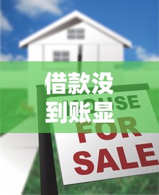 借款没到账显示还款怎么办？解决步骤全解析