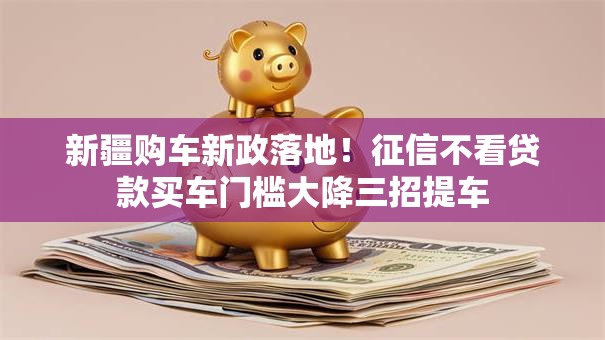 新疆购车新政落地！征信不看贷款买车门槛大降三招提车