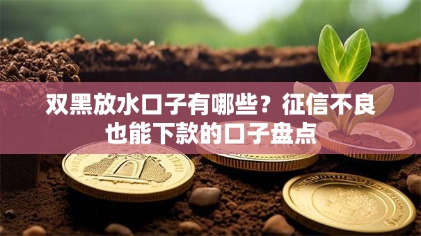 双黑放水口子有哪些？征信不良也能下款的口子盘点