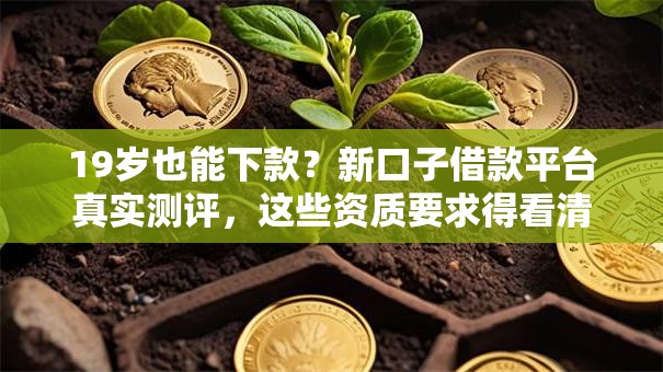 19岁也能下款？新口子借款平台真实测评，这些资质要求得看清