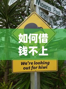 如何借钱不上征信？这些方法你需要知道