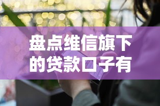 盘点维信旗下的贷款口子有哪些？这些产品靠谱吗
