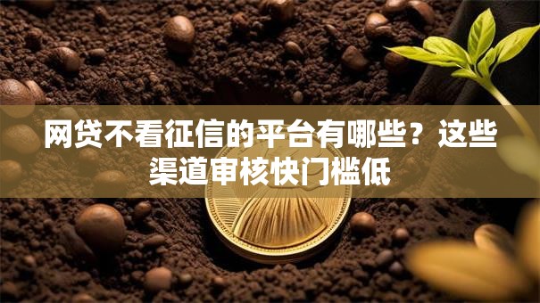 网贷不看征信的平台有哪些？这些渠道审核快门槛低