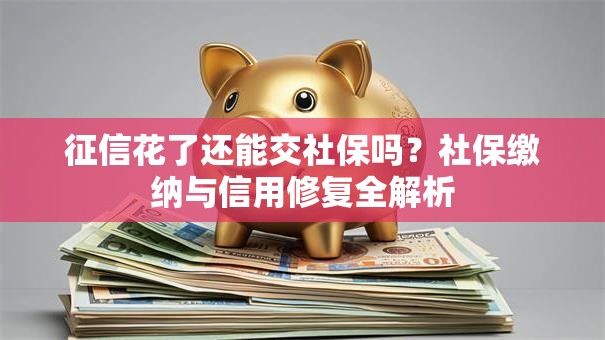 征信花了还能交社保吗？社保缴纳与信用修复全解析